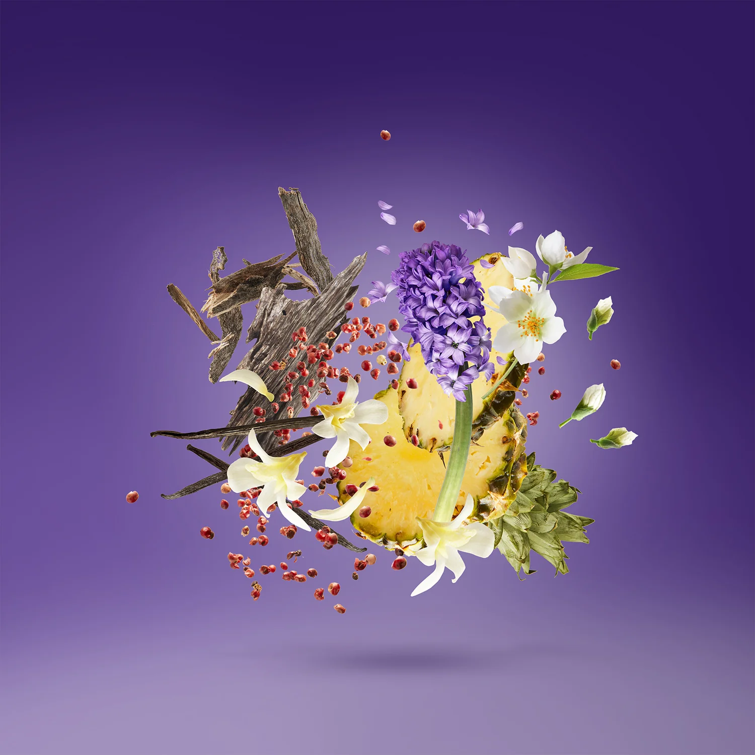 XERJOFF Purple Accento