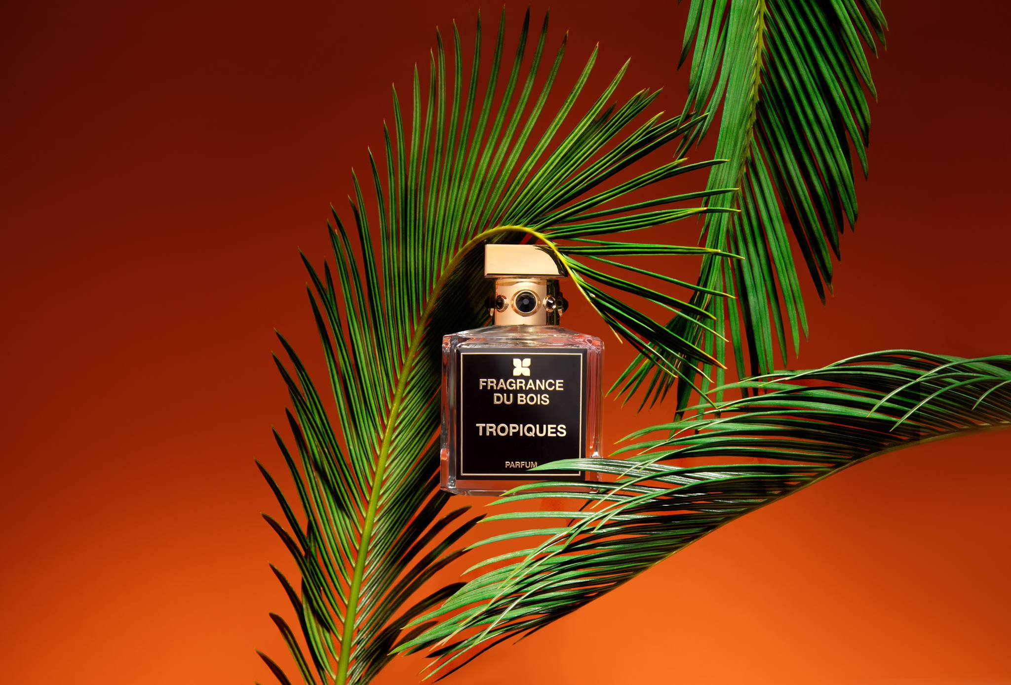 FRAGRANCE DU BOIS